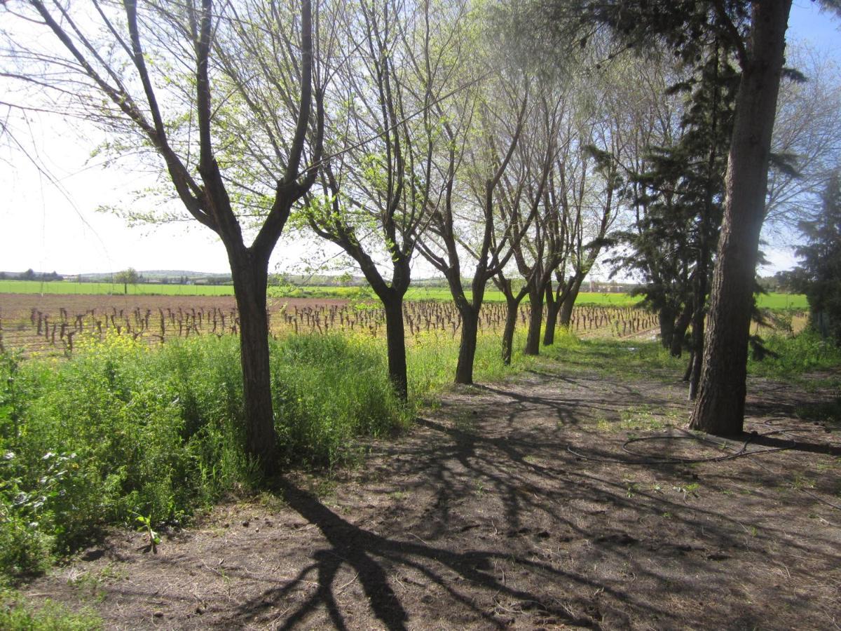 Casa Finca Rural La Huerta Almagro Eksteriør billede